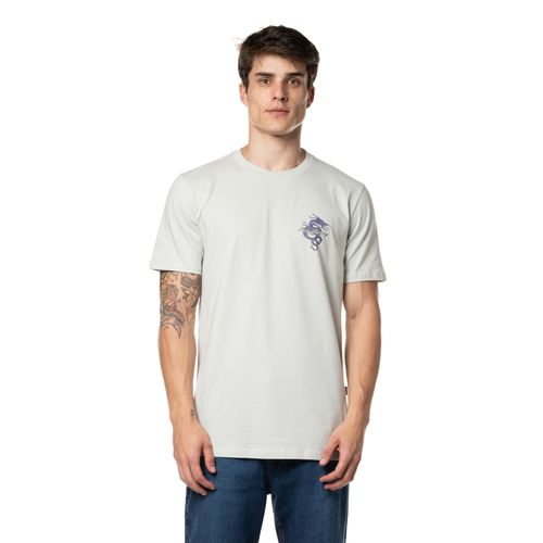 Camiseta Billabong M/C Enter The Dragon Cinza Claro