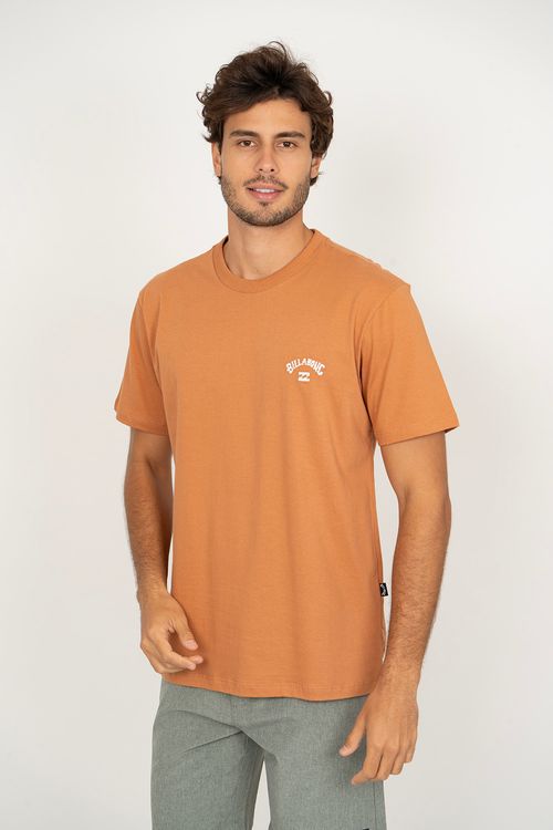 Camiseta Billabong M/c Small Arch Telha