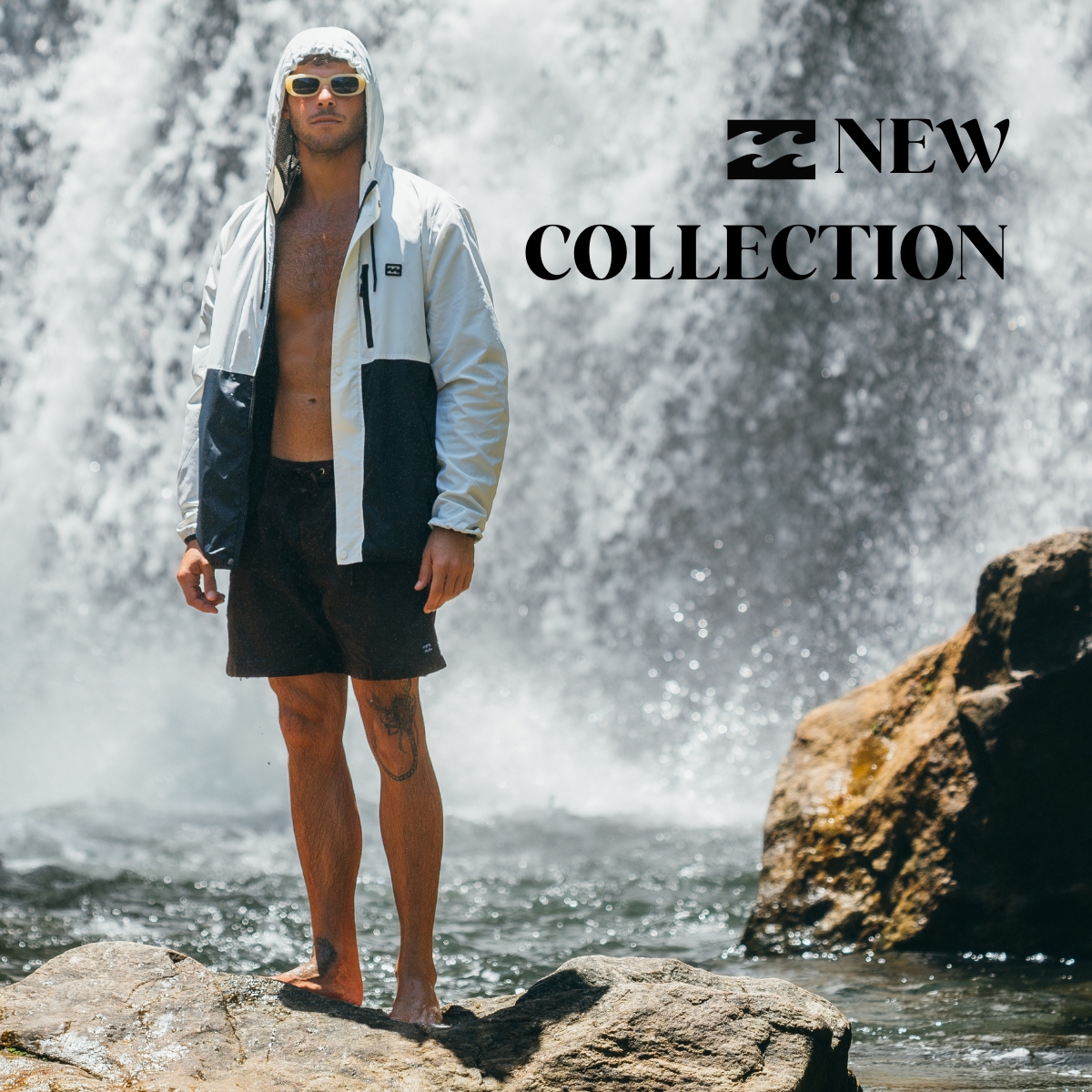 NEW COLLECTION